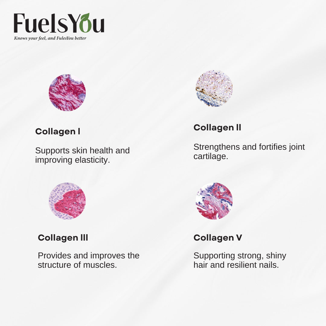 FuelsYou Collagen Complex